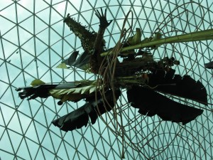 IMG_8051