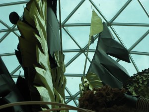 IMG_8052