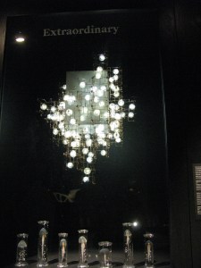 IMG_8731
