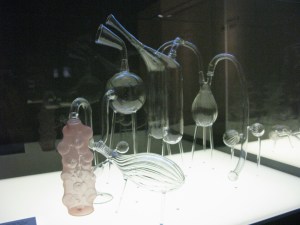 IMG_8742