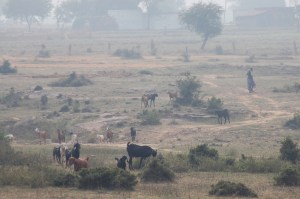Barren landscape now