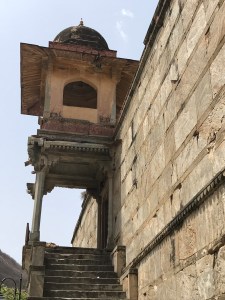 IMG_3356