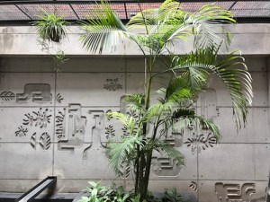 IMG_2510